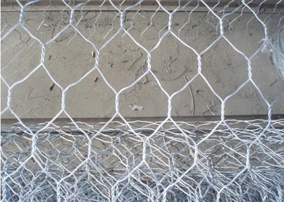 malla de alambre animal hexagonal de la jaula de la tela metálica del pollo de 50x50m m 3.0m m